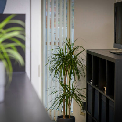 Shared Office
